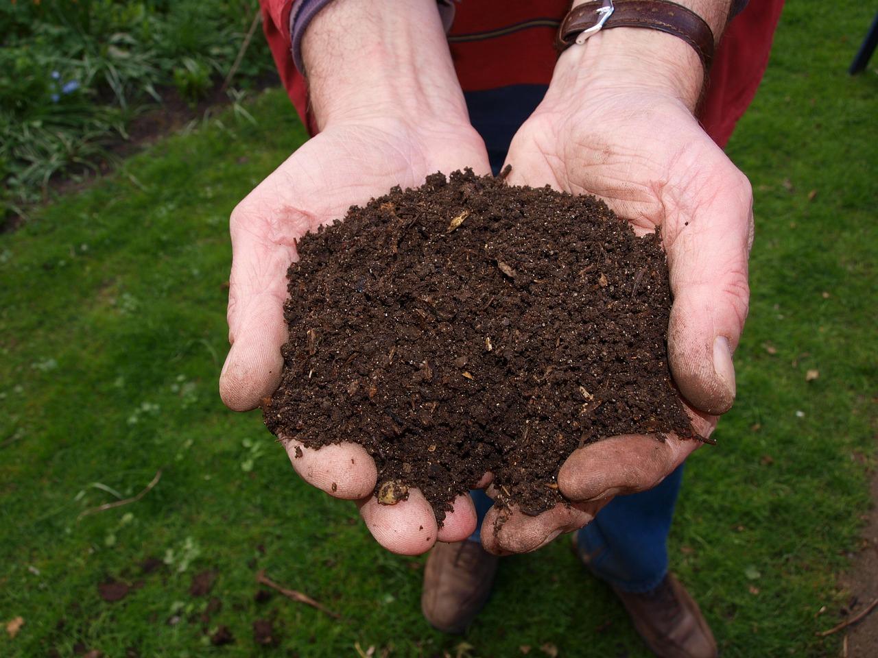 Organic Fertilizer