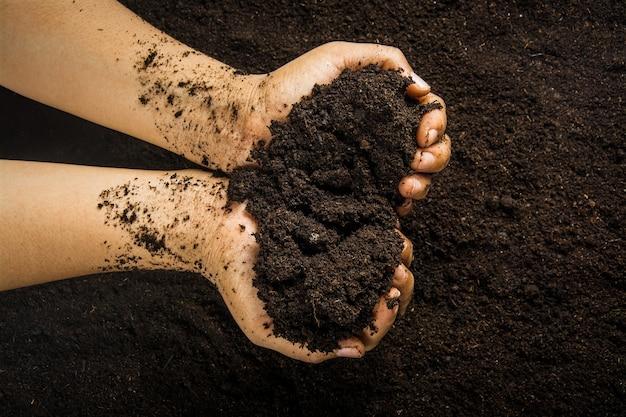Peat Soil