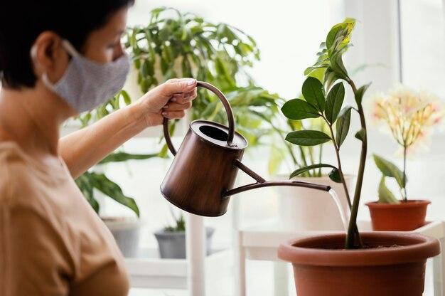 watering plant