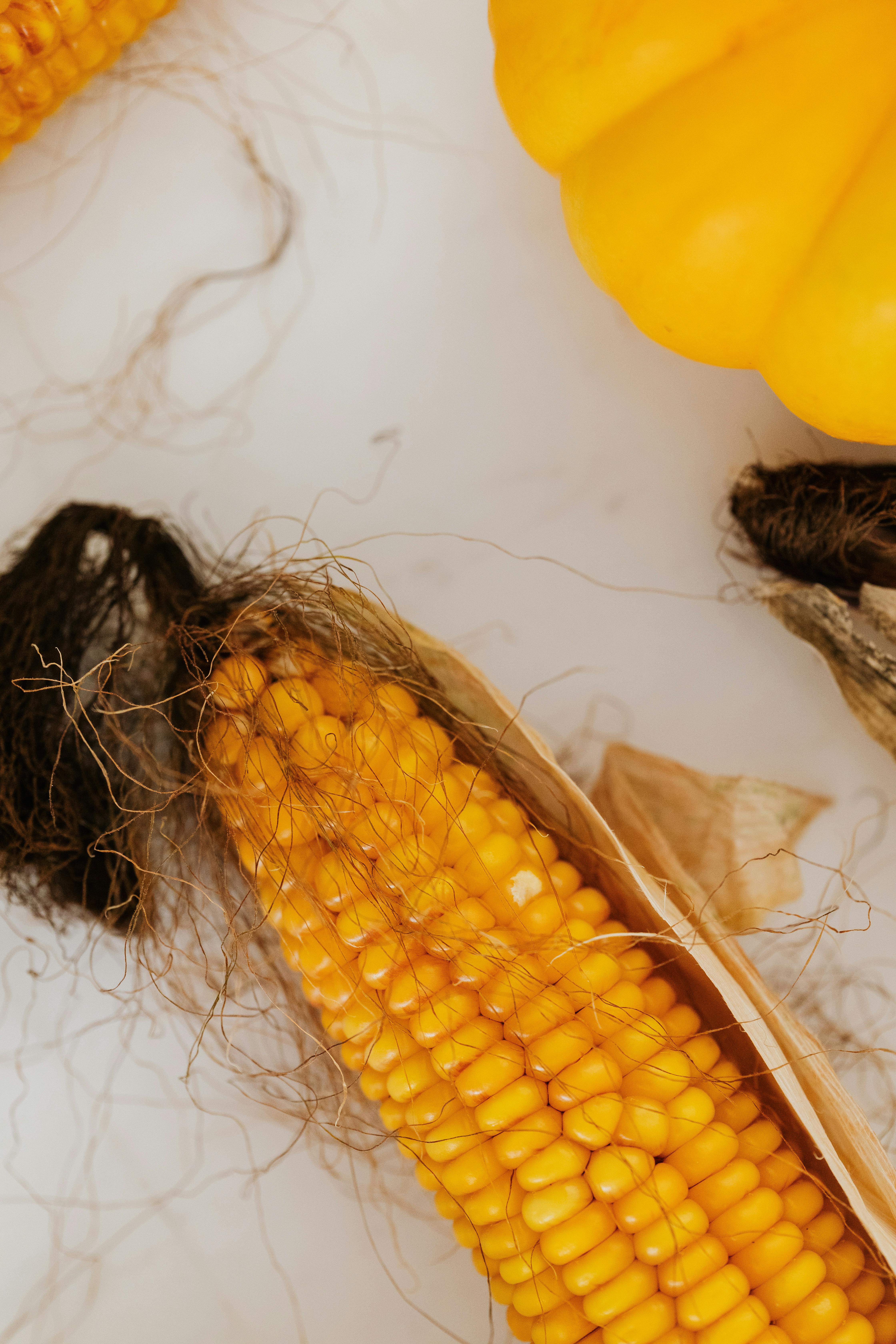 organic corn growing tips and tricks