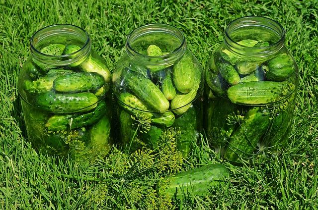 Best Cucumber Varieties for Pickling and Salads: Tons of Different Options to Choose