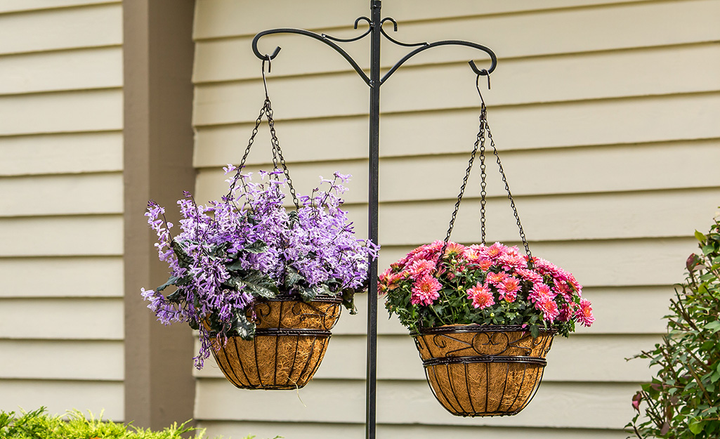 The Best Plants for Hanging Baskets