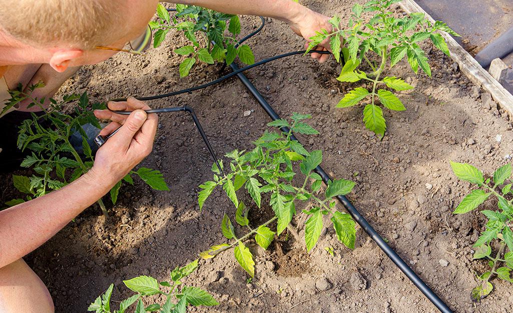 Home Depot Drip Irrigation Review – Popular Items To Buy