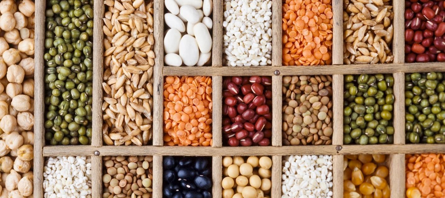 Non-GMO Organic Seeds: The Healthier and Safer Opt for Your Garden