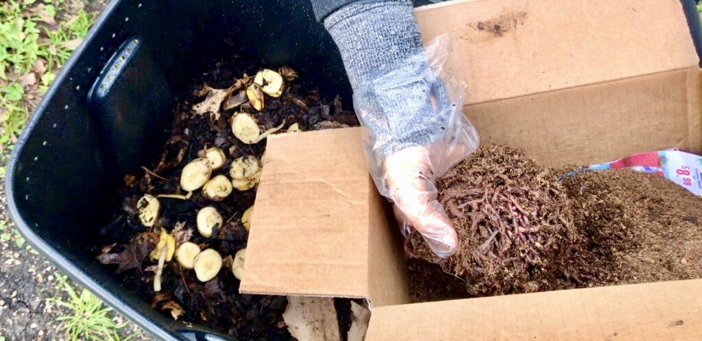 Worm Composting Bin: The Eco-Friendly Way to Recycle Food Waste