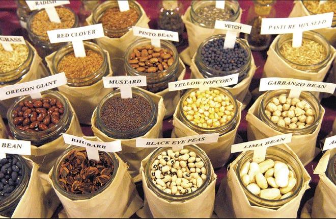 Where to Get The Best Heirloom Vegetable Seeds For Perfect Growth