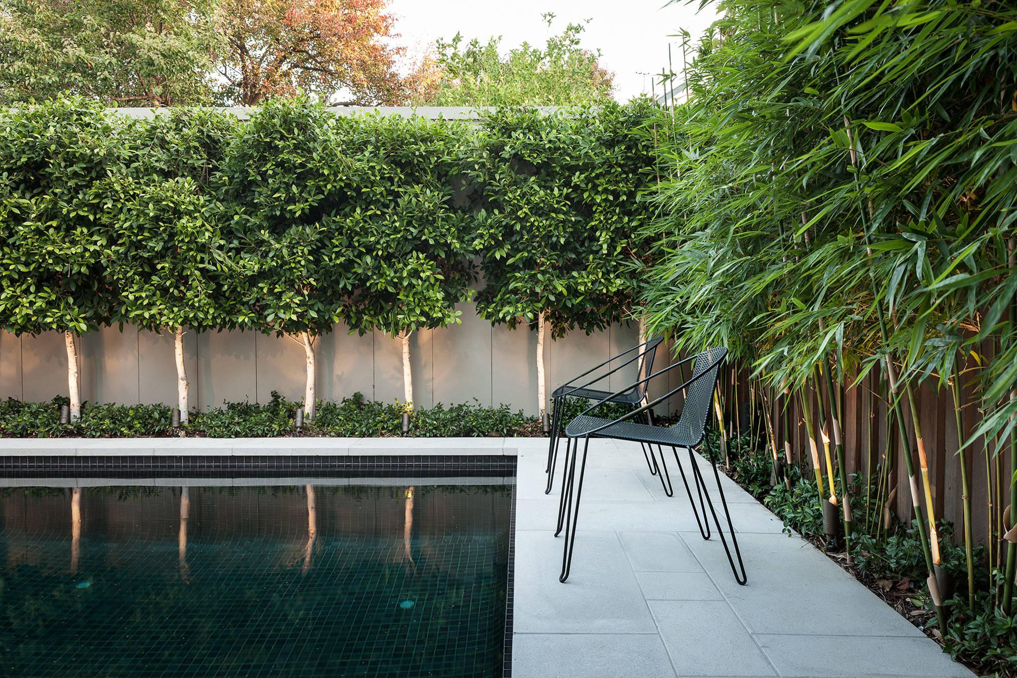 The Ultimate Buying Guide for Beautiful, Low-Mess Landscaping Near Pool (2026)