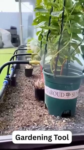 Ultimate Drip Irrigation Setup for Balcony or Rooftop Gardens That Keeps Plants Thriving